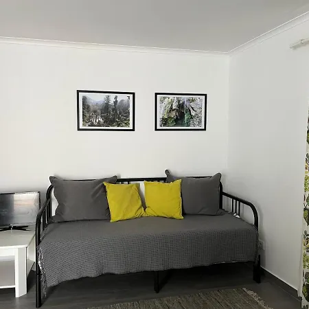 Cozy Green